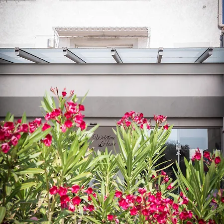 Golfe & Porto-vecchio Porto-Vecchio (Corsica)