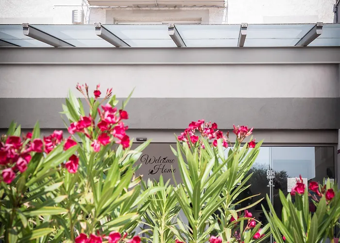 Golfe & Porto-vecchio Porto-Vecchio (Corsica)